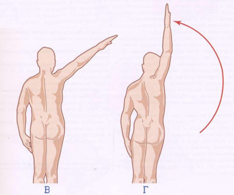 Движения в плечевом суставе. Отведение и приведение плечевого сустава. Отведение плеча ось. Отведение в плечевом суставе в градусах. Движение плечевого сустава сгибание разгибание приведение отведение.