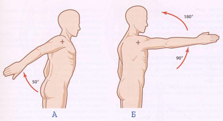 анатомия движения плеча