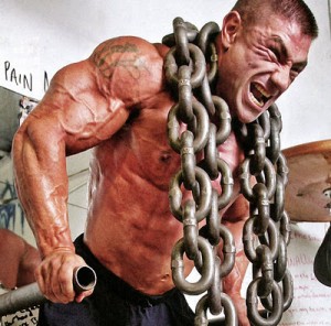 Mod Grf 1-29 ��������: ����.