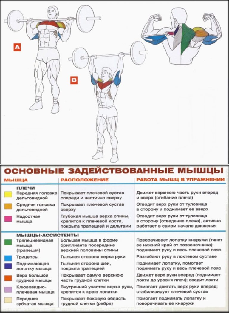 Упражнения армейский жим стоя