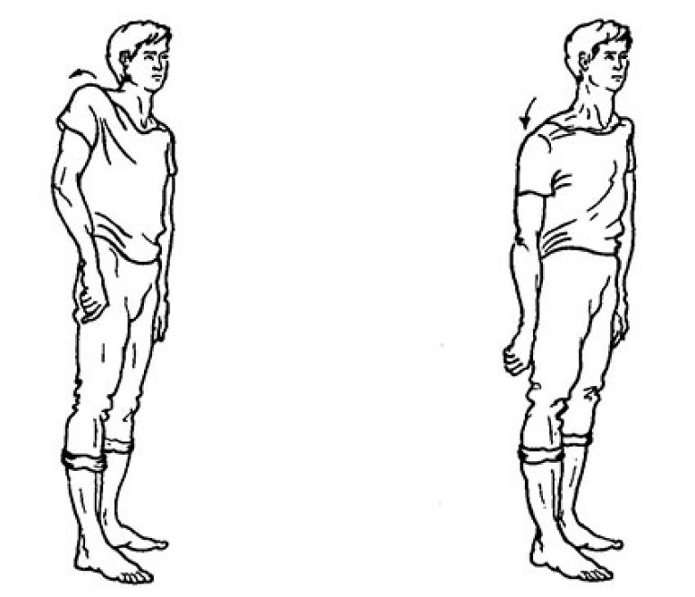 Движение плеча вперед. Упражнение круговые движения плечами. Поочередное поднимание плеч. Поднятие плеч упражнение. Поднимание/опускание плеча.