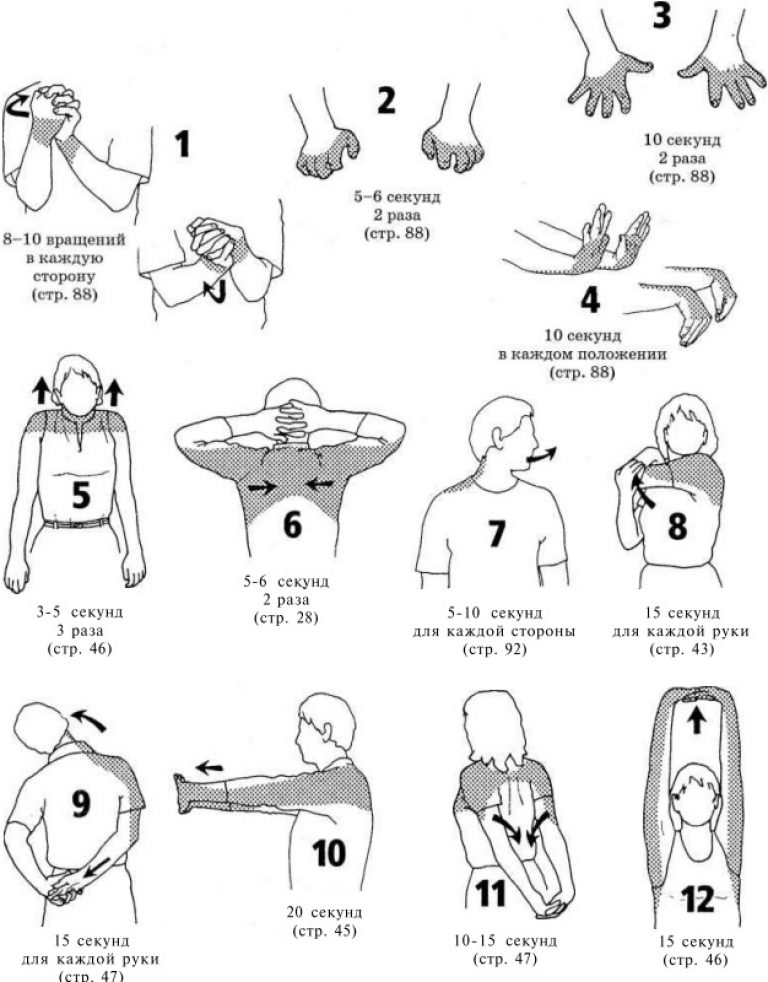 Упражнения для гибкости шеи картинки