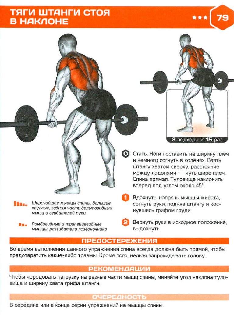 Занятия со штангой в домашних условиях для мужчин с картинками